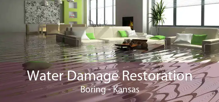 Water Damage Restoration Boring - Kansas