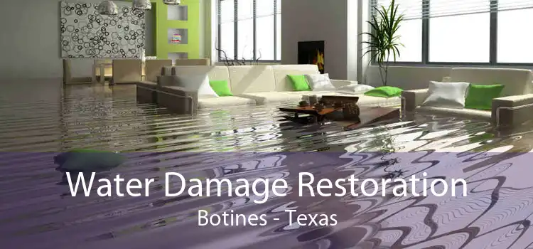 Water Damage Restoration Botines - Texas