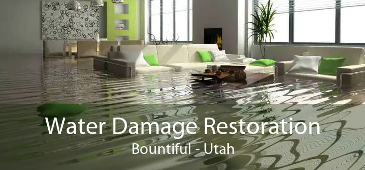 Water Damage Restoration Bountiful - Utah