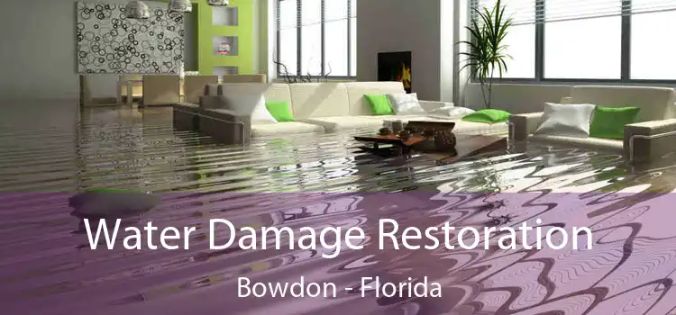 Water Damage Restoration Bowdon - Florida