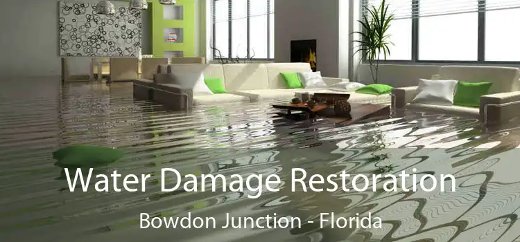 Water Damage Restoration Bowdon Junction - Florida