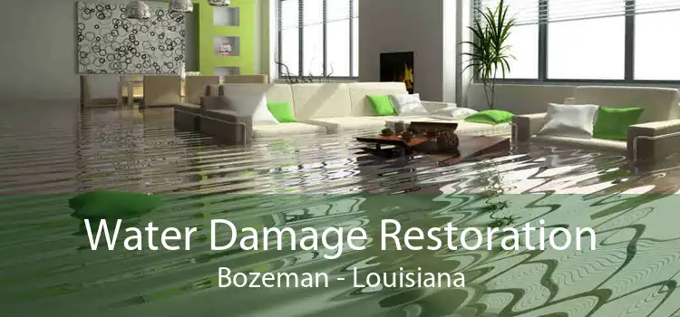 Water Damage Restoration Bozeman - Louisiana