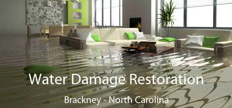 Water Damage Restoration Brackney - North Carolina