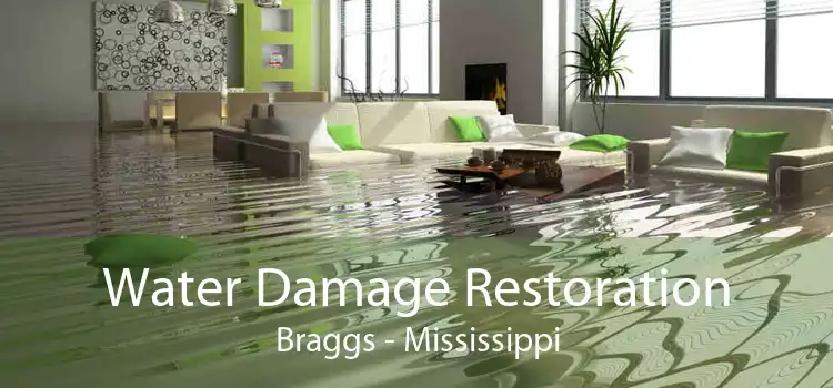 Water Damage Restoration Braggs - Mississippi