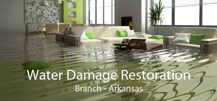 Water Damage Restoration Branch - Arkansas