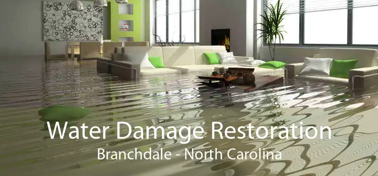 Water Damage Restoration Branchdale - North Carolina