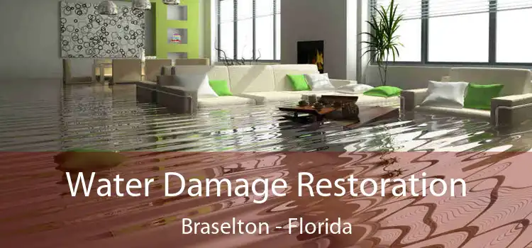 Water Damage Restoration Braselton - Florida