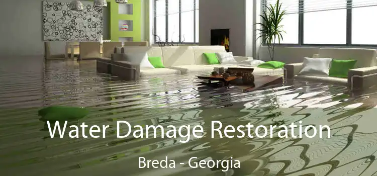 Water Damage Restoration Breda - Georgia