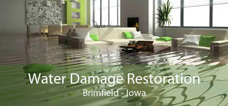 Water Damage Restoration Brimfield - Iowa