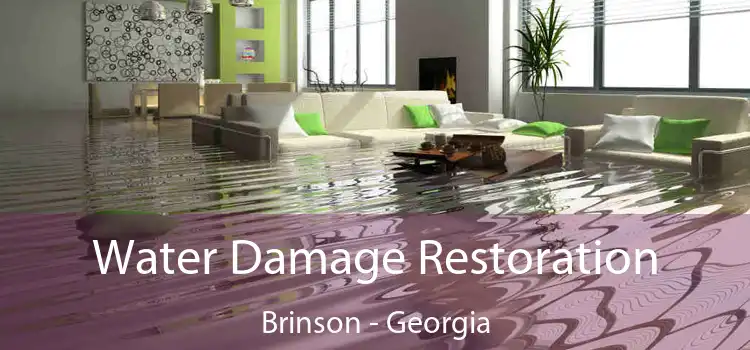 Water Damage Restoration Brinson - Georgia