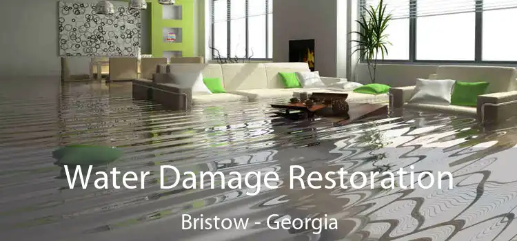 Water Damage Restoration Bristow - Georgia