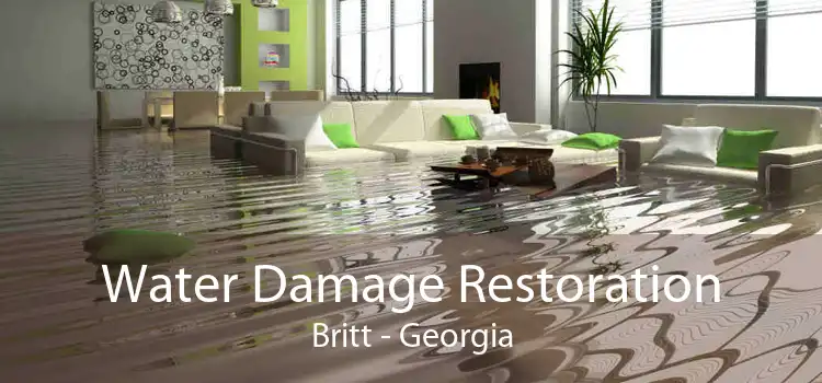 Water Damage Restoration Britt - Georgia