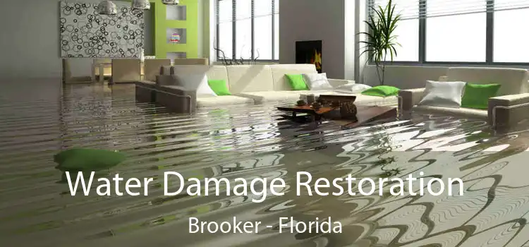 Water Damage Restoration Brooker - Florida