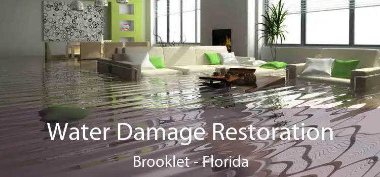 Water Damage Restoration Brooklet - Florida