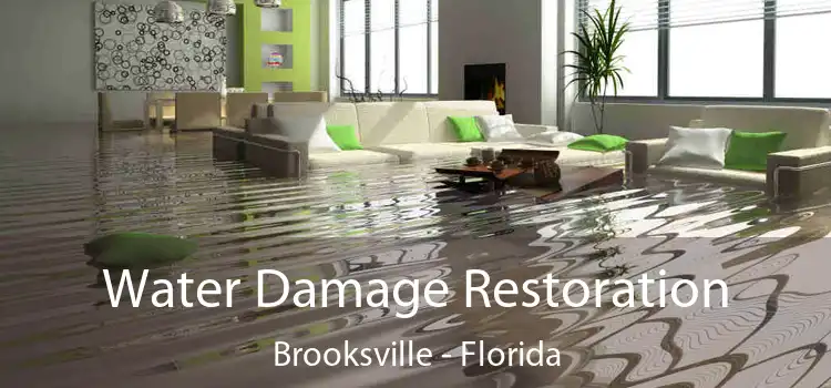 Water Damage Restoration Brooksville - Florida