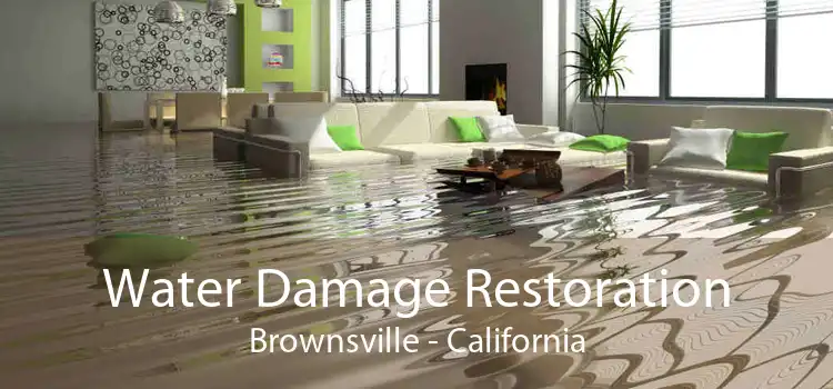 Water Damage Restoration Brownsville - California