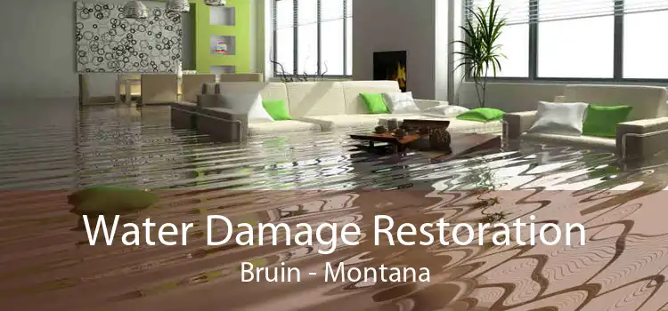 Water Damage Restoration Bruin - Montana