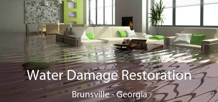 Water Damage Restoration Brunsville - Georgia