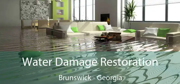 Water Damage Restoration Brunswick - Georgia