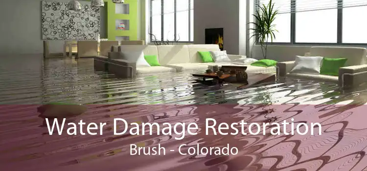 Water Damage Restoration Brush - Colorado