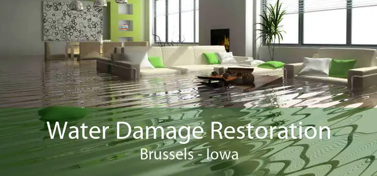 Water Damage Restoration Brussels - Iowa