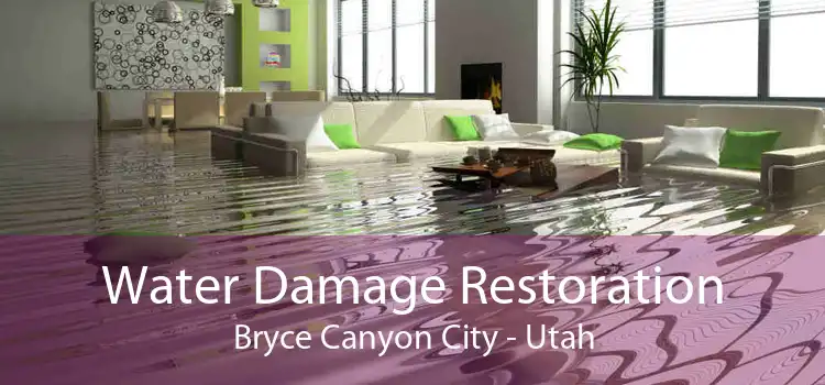 Water Damage Restoration Bryce Canyon City - Utah