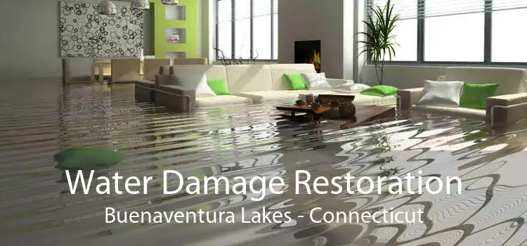 Water Damage Restoration Buenaventura Lakes - Connecticut