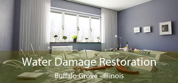 Water Damage Restoration Buffalo Grove - Illinois