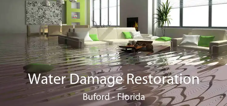 Water Damage Restoration Buford - Florida