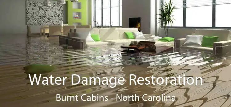 Water Damage Restoration Burnt Cabins - North Carolina