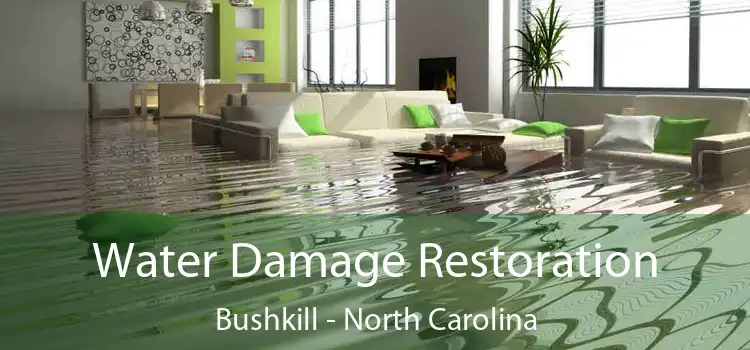 Water Damage Restoration Bushkill - North Carolina