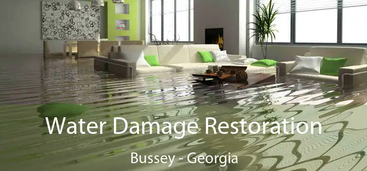 Water Damage Restoration Bussey - Georgia