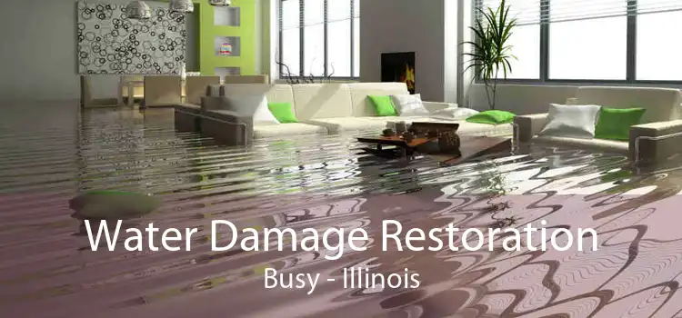 Water Damage Restoration Busy - Illinois