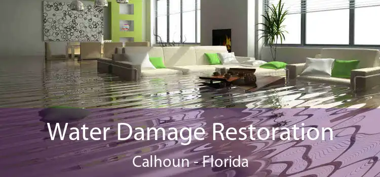 Water Damage Restoration Calhoun - Florida