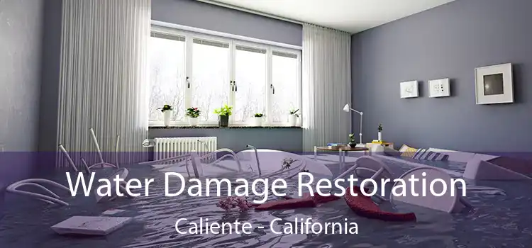 Water Damage Restoration Caliente - California