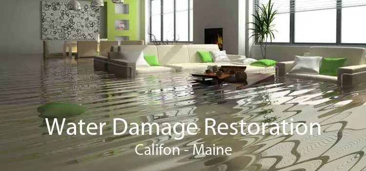 Water Damage Restoration Califon - Maine