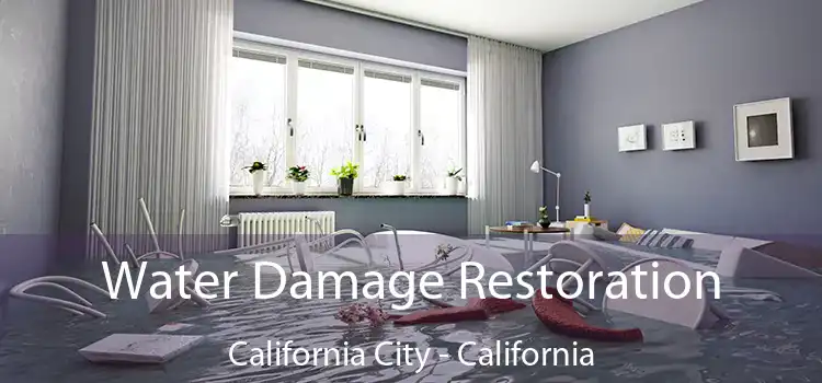 Water Damage Restoration California City - California