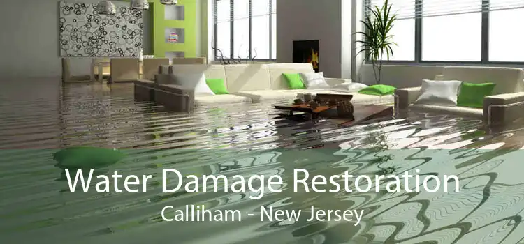 Water Damage Restoration Calliham - New Jersey