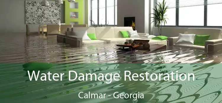 Water Damage Restoration Calmar - Georgia