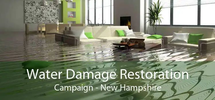Water Damage Restoration Campaign - New Hampshire