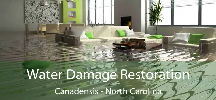 Water Damage Restoration Canadensis - North Carolina