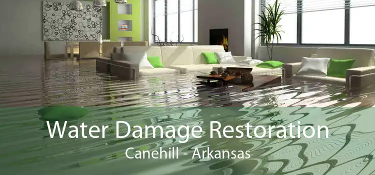 Water Damage Restoration Canehill - Arkansas