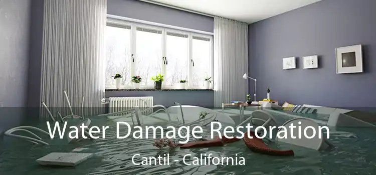 Water Damage Restoration Cantil - California