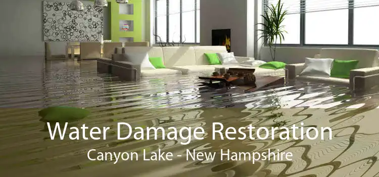 Water Damage Restoration Canyon Lake - New Hampshire