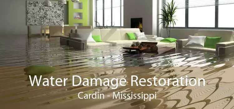 Water Damage Restoration Cardin - Mississippi