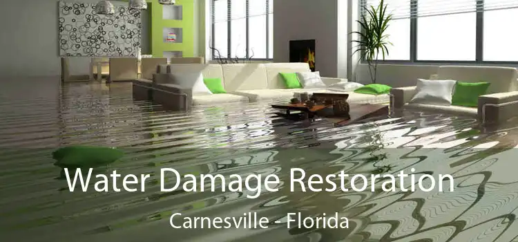 Water Damage Restoration Carnesville - Florida