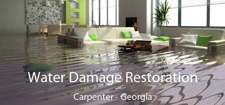 Water Damage Restoration Carpenter - Georgia