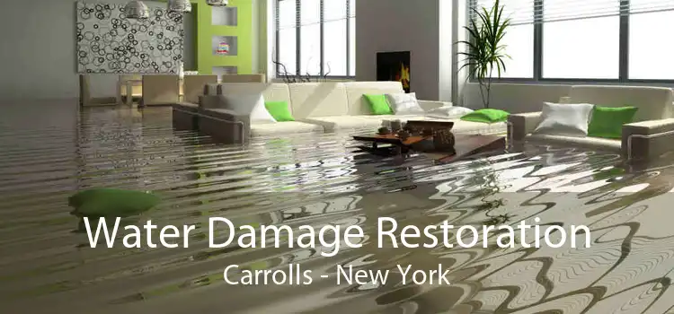 Water Damage Restoration Carrolls - New York