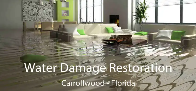 Water Damage Restoration Carrollwood - Florida