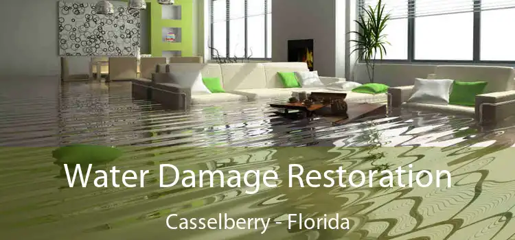 Water Damage Restoration Casselberry - Florida